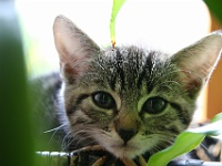 Molly und ihre Kinder